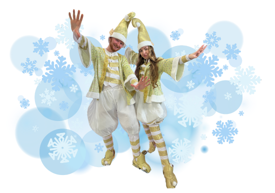 Новогодние аниматоры